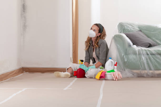 Reliable Mold Inspection contractor in West Salisbury, PA by WQB Mold Removal