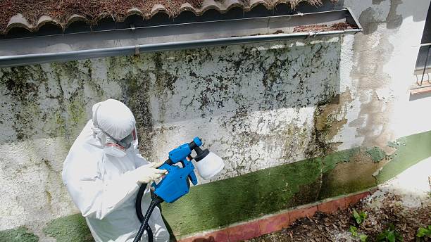 Top rated local Mold Inspection specialists in West Salisbury, PA